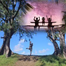 세미남부투어+별빛투어 특가